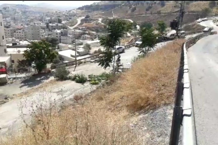 الاحتلال يخلع عشرات الاشجار ببلدة العيسوية (صور)