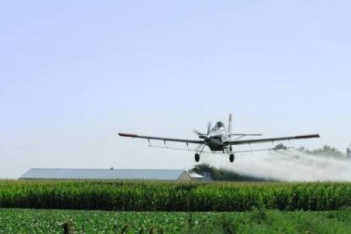 تقرير حقوقي: رش اسرائيل المبيدات على حدود غزة يدمر الزراعة