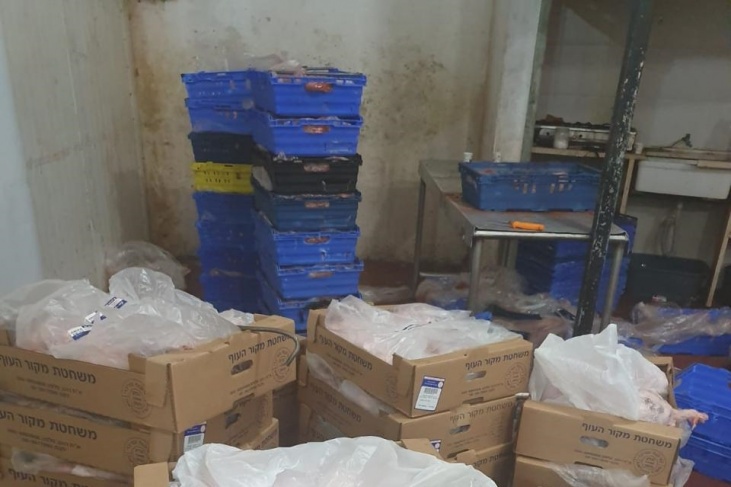 ضبط 2 طن ونصف دجاج مهرب في محافظة قلقيلية