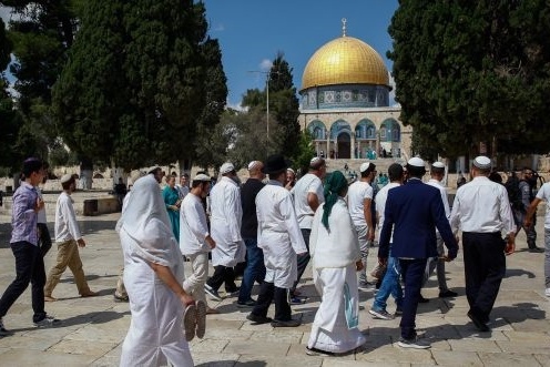Endowments Council - Ben Ghafir’s extremely dangerous approaches aim to change the status quo in Al-Aqsa