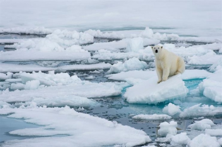 باحثون يجدون خطّة لإعادة تجميد القطب الشمالي