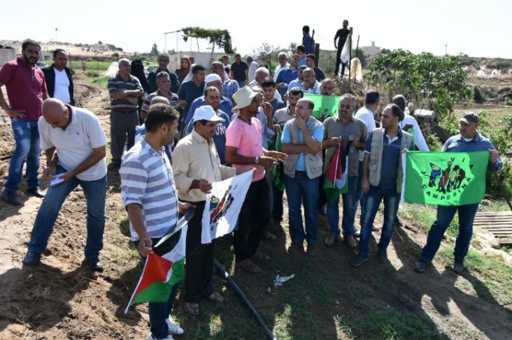 العمل الزراعي و&quot;طريق الفلاحين&quot; بغزة يزوران مزارعي الفراولة ببيت لاهيا
