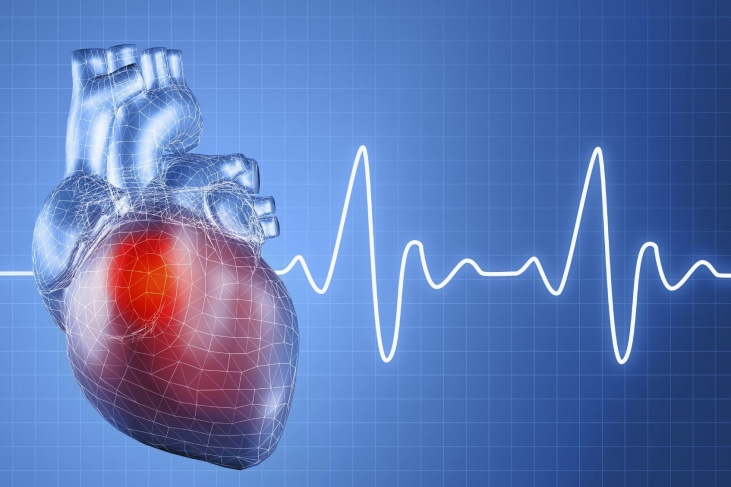 الصحة: أمراض القلب المسبب الأول للوفاة في فلسطين
