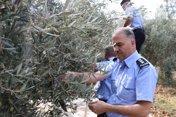 صور- الشرطة تشارك المواطنين قطف ثمار الزيتون