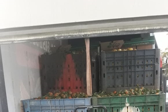 ضبط 5 أطنان فواكه وخضار مهربة من إسرائيل بنابلس