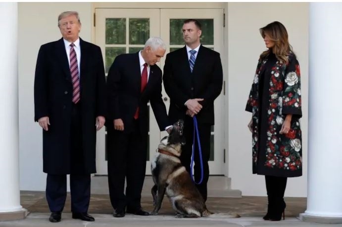 ترامب يستضيف الكلب الذي شارك بعملية قتل البغدادي