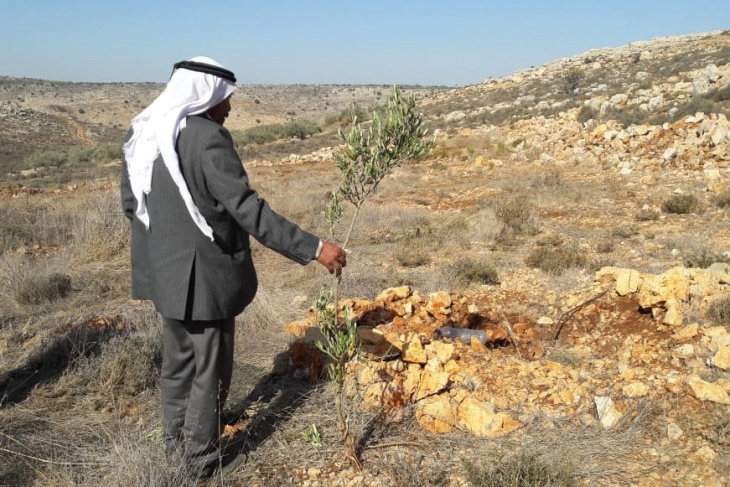 فيديو وصور- جرافات الاحتلال تقتلع عشرات الاشجار في سلفيت