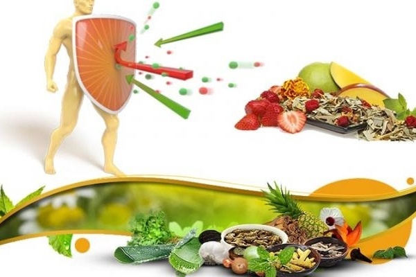 مواد غذائية مهمة لتعزيز مناعة الجسم